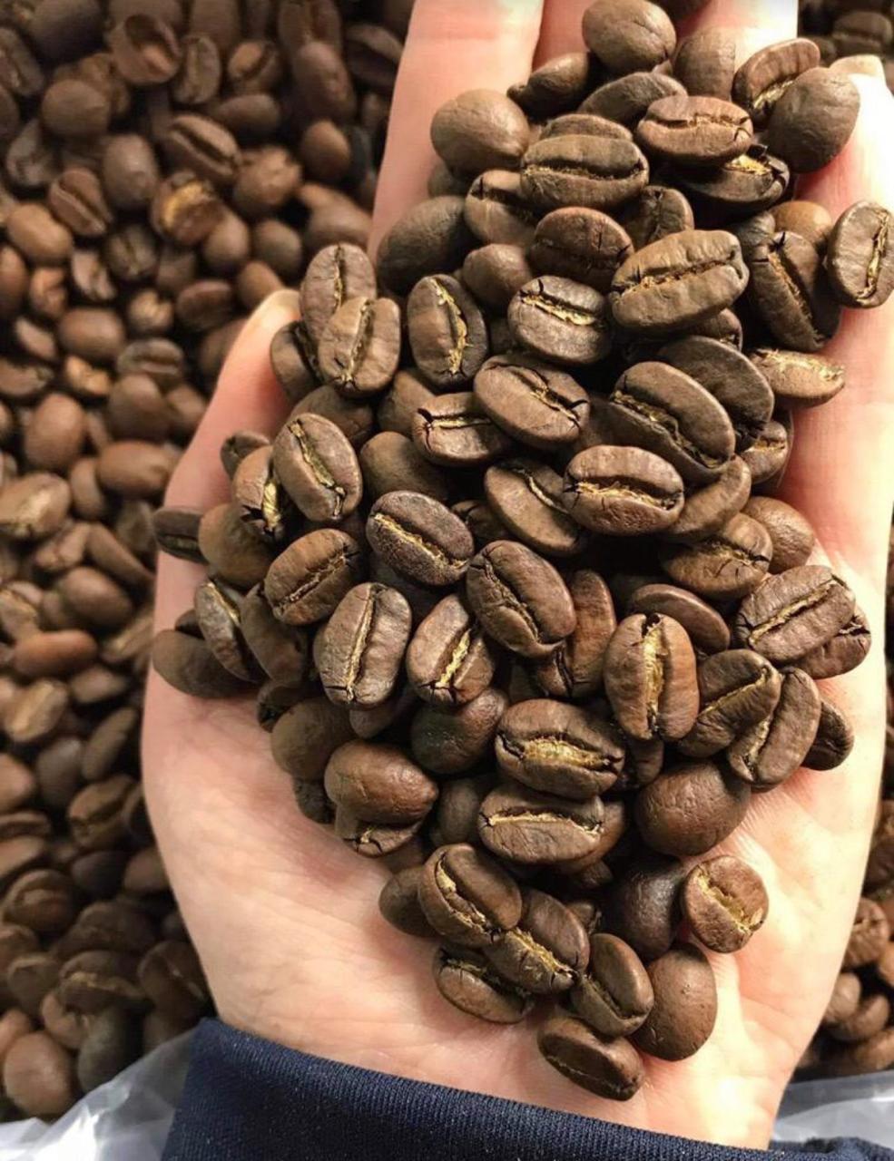 Why is Vietnam the Robusta Capital of the World?