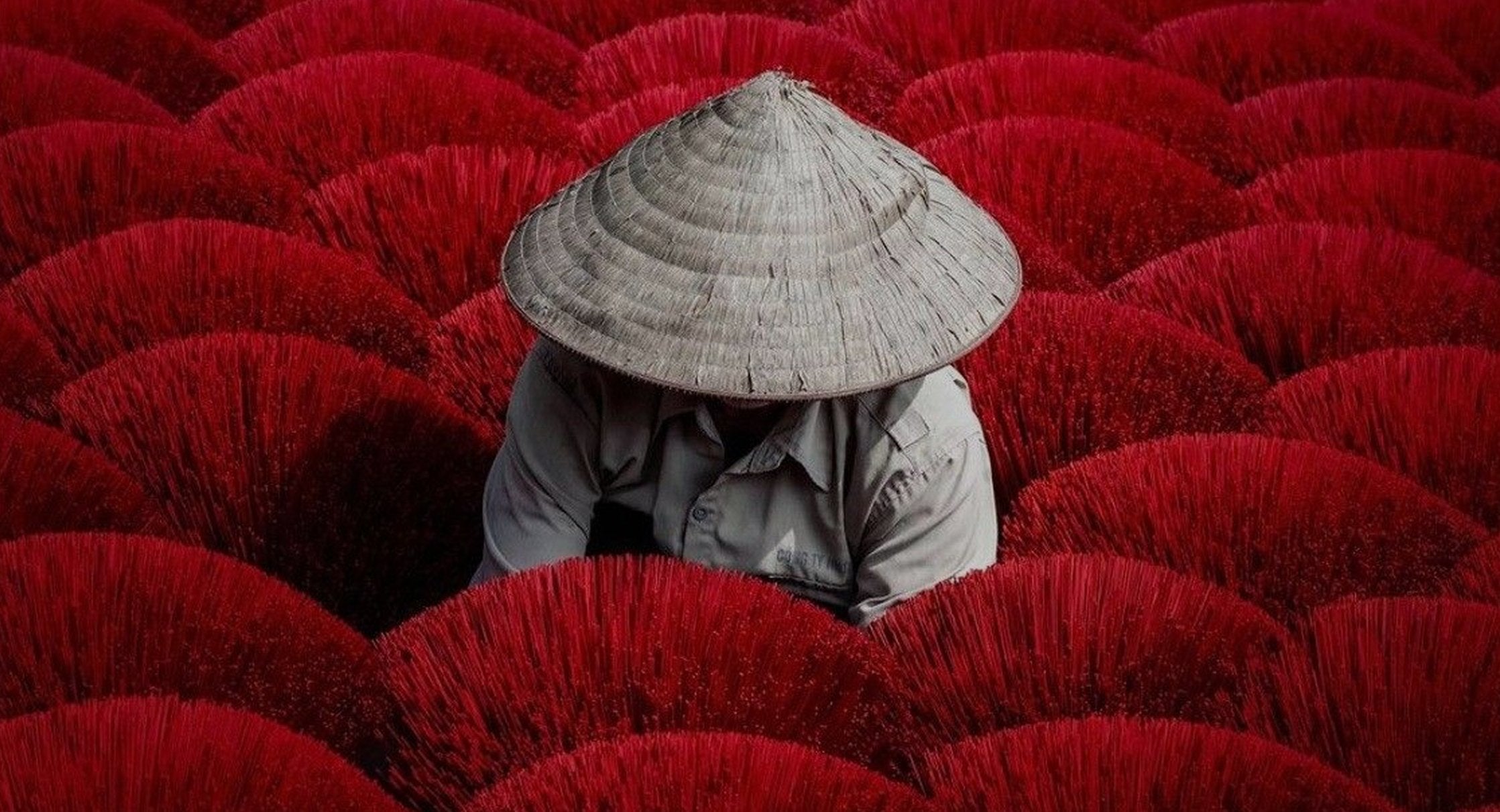 Born in the<br>Highlands of <em>Vietnam.</em>